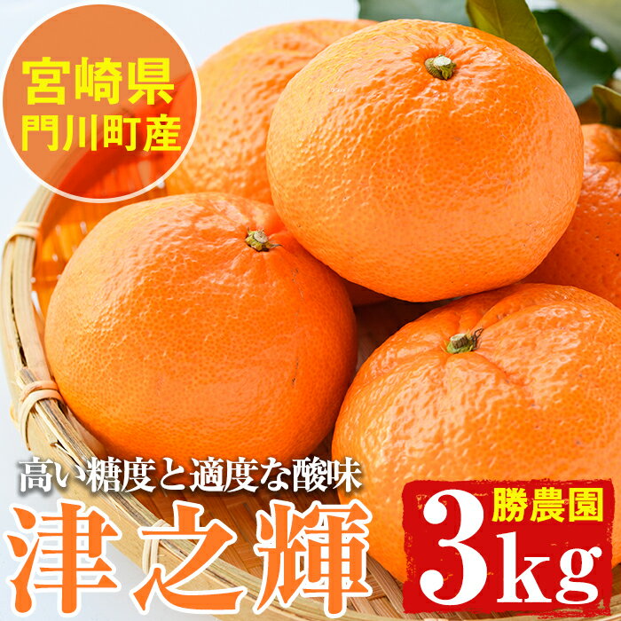 宮崎県門川町産津之輝(約3kg)みかん ミカン 蜜柑 柑橘 果物 くだもの フルーツ 冷蔵 宮崎県 門川町【AE-14】【勝農園】