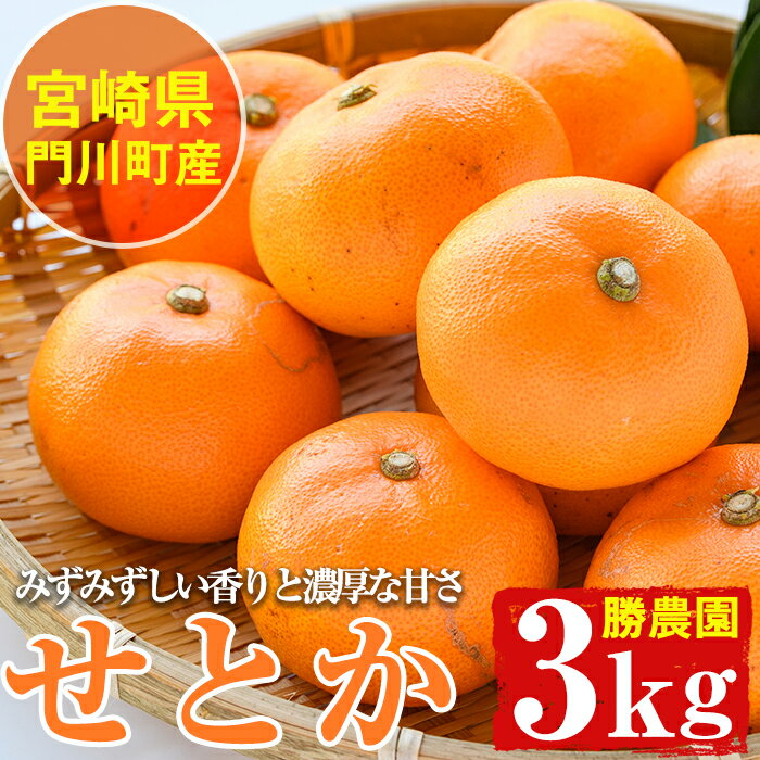 ＜先行予約受付中！2026年2月下旬～4月末の間に末発送予定＞宮崎県門川町産せとか(約3kg)柑橘 果物 数量限定 期間限定 国産 フルーツ 常温保存 遠見半島 宮崎県 門川町【AE-18】【勝農園】
