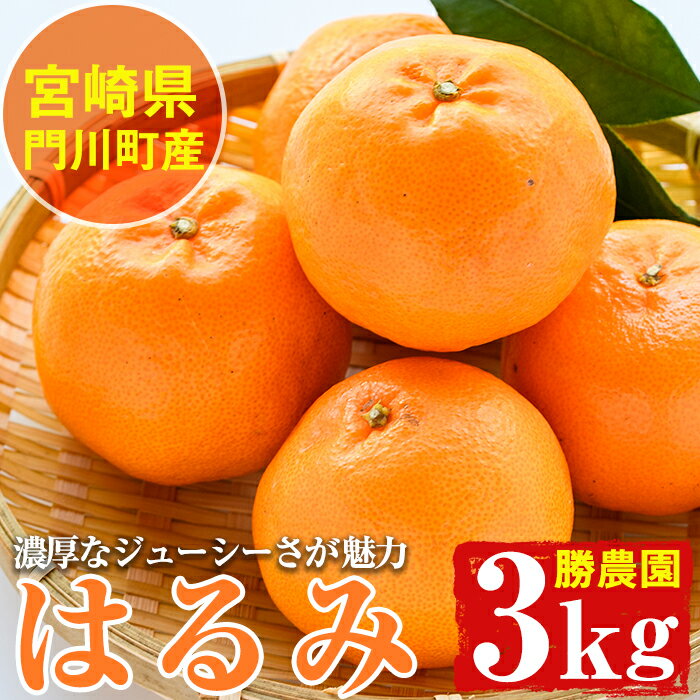 宮崎県門川町産はるみ(約3kg)柑橘 果物 数量限定 期間限定 国産 フルーツ 冷蔵 保存 遠見半島【AE-20】【勝農園】