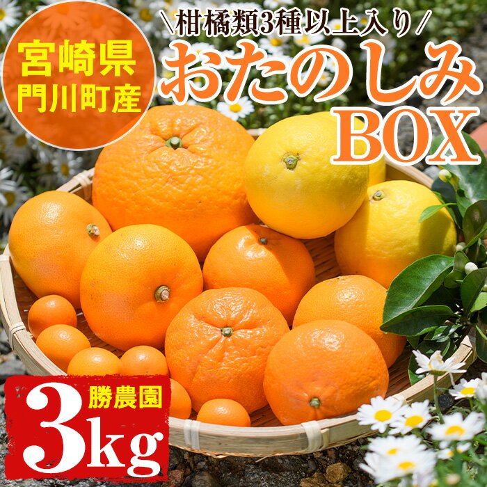 柑橘類おたのしみBOX(約3kg・3種類以上)柑橘 果物 数量限定 期間限定 国産 フルーツ 詰め合わせ セット 遠見半島 宮崎県 門川町【AE-22】【勝農園】