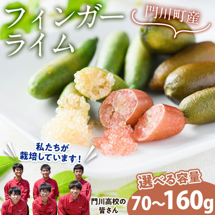 ＜数量限定・期間限定＞＜内容量が選べる！＞宮崎県門川町産フィンガーライム(70～160g) 柑橘 希少 ライム キャビアライム シトラス 高校生 門高【AU-3・AU-2】【宮崎県立門川高等学校】