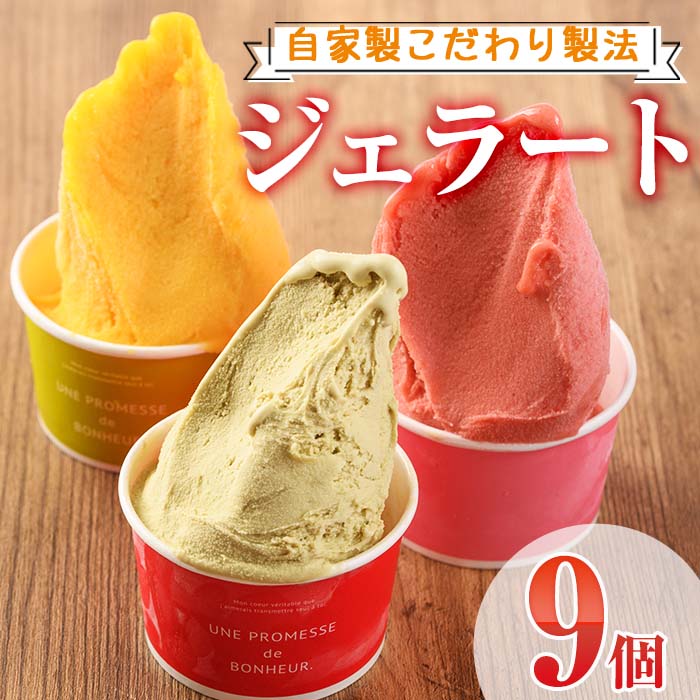 ＜先行予約受付中！2025年12月から順次発送予定＞自家製こだわり製法！自家製ジェラート(9個)【I-2】【ミツル・プラス】