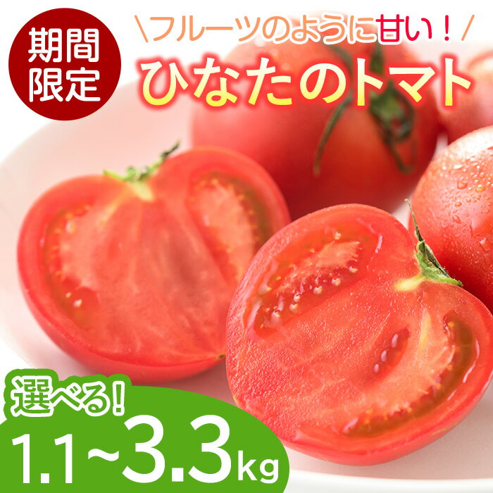 ＜内容量が選べる！＞ひなたのとまと(計1.1～3.3kg)トマト フルーツトマト 糖度 9度 以上 野菜 旬野菜 冷蔵 門川町産 宮崎県 門川町【A-3・A-4・A-5】【株式会社 新門トマト農園】