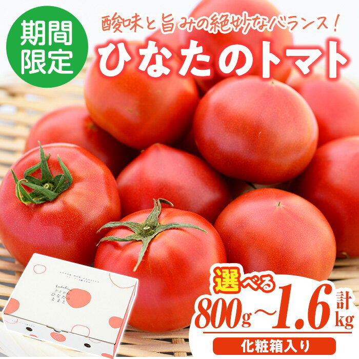 ＜内容量が選べる！＞門川ひなたのトマト(計800g～1.6kg) フルーツトマト 高糖度 トマト 野菜 旬野菜 冷蔵 門川町産 宮崎県 門川町 【TM-01・TM-02】【宮崎県農業協同組合日向地区本部(門川選果場)】