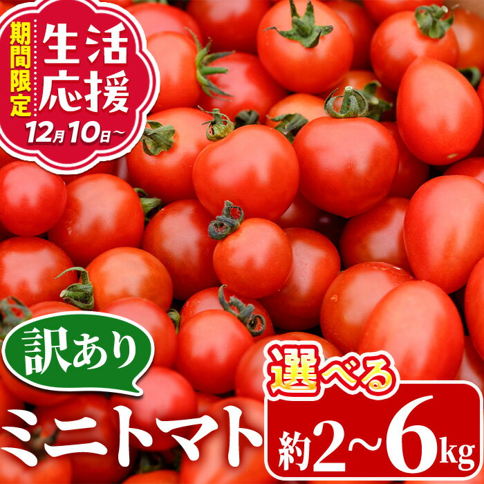 ＜内容量が選べる！＞ 訳あり 規格外 数量限定 門川町産 ミニトマト (計2～6kg) 期間限定 生活応援 フルーツトマト とまと 野菜 ミックス 生 旬野菜 冷蔵【X-9・X-10・X-11・X-8】【いけとも農園】