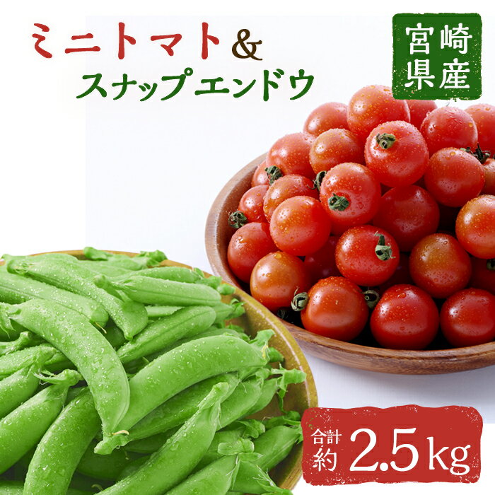 ＜期間限定＞ミニトマト(約1.5kg)とスナップエンドウ(約1kg)野菜 とまと えんどう豆 フルーツトマト サンチェリーピュア ダルタリー アイコ サラダ【GF-3】【グーファーム】