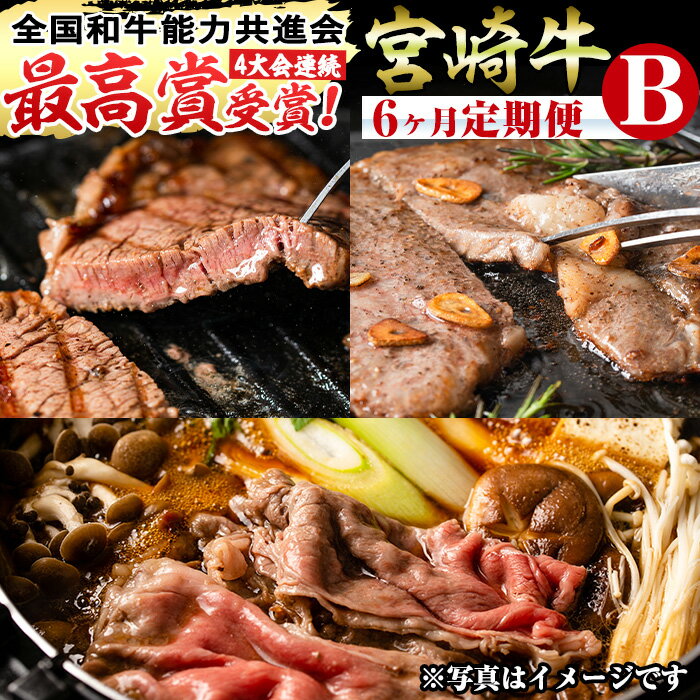 ＜先行予約受付中！2026年1月から発送開始予定＞【定期便・全6回(連続)】宮崎牛 定期便 ＜Bセット＞お楽しみ 牛肉 国産 定期 ヒレ肉 ひれにく モモ ウデ ロース バラ スライス 宮崎県産 黒毛和牛 焼肉 ステーキ すき焼き【R-68】【株式会社ミヤチク】