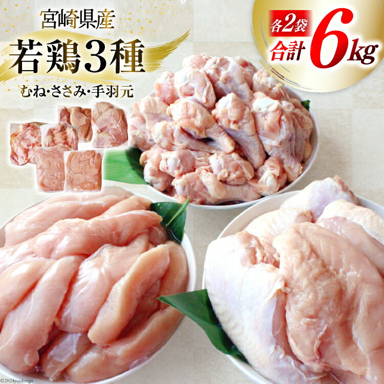 鶏肉 詰め合わせ 宮崎県産 若鶏 むね肉 ささみ 手羽元 セット 各1kg 2p 計6kg [九州児湯フーズ 宮崎県 美郷町 31ai0022] 小分け むね 鶏むね肉 鶏むね 手羽 ササミ 冷凍 真空パック