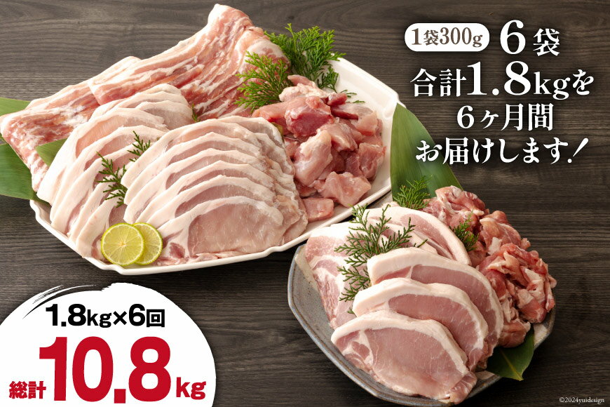 【ふるさと納税】 【 選べる 発送月 】 6回 定期便 豚肉 鶏肉 お料理 セット 計 10.8kg [甲斐精肉店 宮崎県 美郷町 31as0115-a] 豚 鶏 小分け 肉 冷凍 詰め合わせ 宮崎 国産 切り落し ロース とんかつ ひき肉 ミンチ もも バラ スライス 薄切り サムネイル2