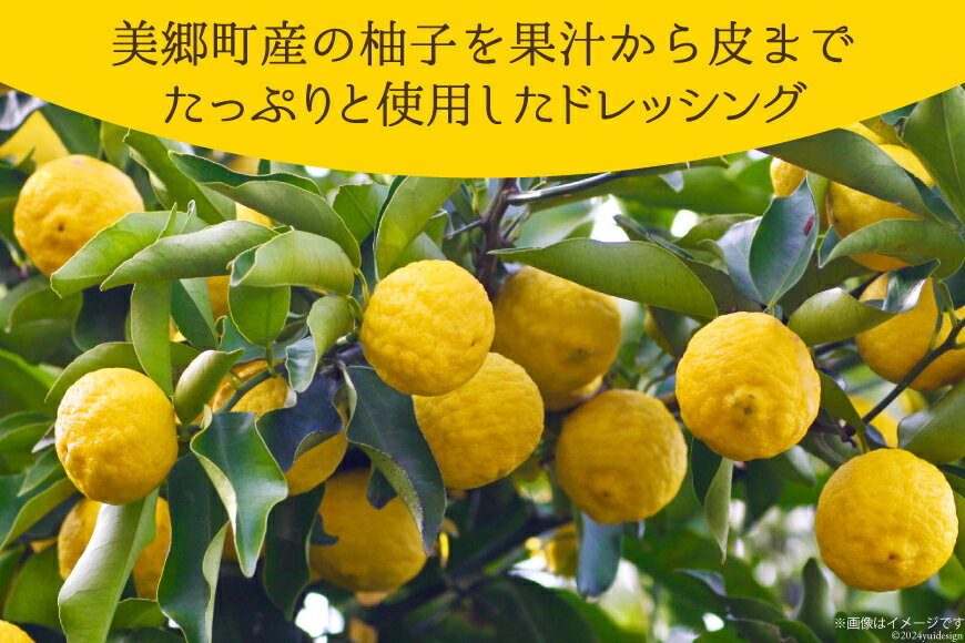 【ふるさと納税】調味料 ゆず ドレッシング 300ml×2本 セット [農林産物直売所 美郷ノ蔵 宮崎県 美郷町 31ab0072-NEW] ゆず皮入 産柚子使用 ギフト 調味料 宮崎県産 美郷産 送料無料 柚子 冷しゃぶ 豆腐 サラダ 手作り プレゼント 贈り物 詰め合わせ サムネイル2