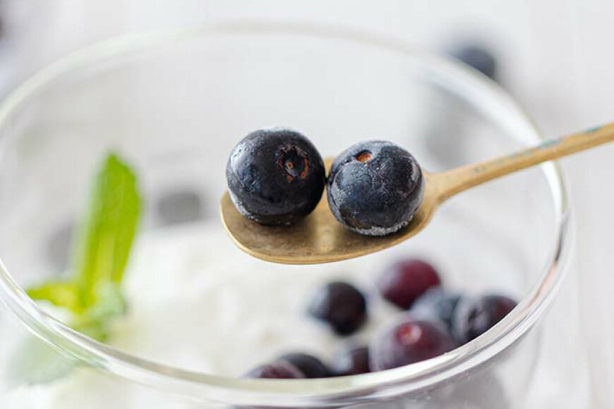 【ふるさと納税】 ブルーベリー 冷凍 500g × 2袋 1kg [農林産物直売所 美郷ノ蔵 宮崎県 美郷町 31ab0135] 国産 手摘み 小分け ヨーグルト 宮崎県産 おやつ お菓子 朝ごはん 朝ご飯 サムネイル2