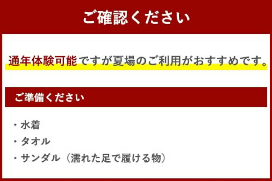 【ふるさと納税】 体験 ウェイクボード 初心者体験コース [SHOP川口機工 宮崎県 美郷町 31bj0013] アクティビティ 夏 スポーツ体験 マリンスポーツ 利用券 利用権 サムネイル2