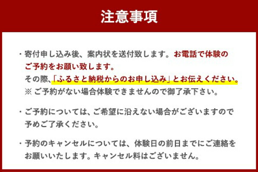 【ふるさと納税】 体験 ウェイクボード 初心者体験コース [SHOP川口機工 宮崎県 美郷町 31bj0013] アクティビティ 夏 スポーツ体験 マリンスポーツ 利用券 利用権 サムネイル3