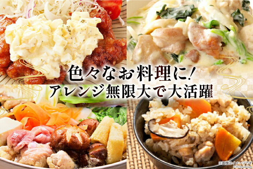 【ふるさと納税】 鶏肉 選べる 発送回数 もも肉 若鶏もも肉 切身 500g ×6p 総計 3kg 〜 36kg [九州児湯フーズ 宮崎県 美郷町 31ai0015] 定期便 冷凍 小分け 若鶏 もも モモ 鳥もも肉 鶏 真空パック カット サムネイル3