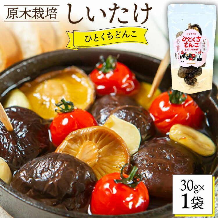 しいたけ 乾燥 ひとくち どんこ 30g [HUTTE 宮崎県 美郷町 31ao0021] 椎茸 シイタケ 乾燥しいたけ お節 煮物