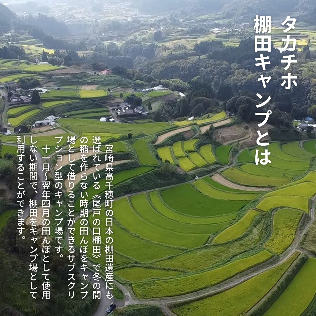 【ふるさと納税】《レビューキャンペーン》高千穂の絶景棚田キャンプ［グループプラン］寄付された方（1名）+お連れ様（4名） A172 サムネイル3