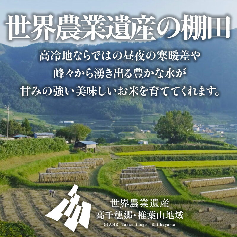 【ふるさと納税】【選べる内容量】《令和7年産》高千穂地区 ひのひかり 米 お米 白米 ごはん 白飯 精米 ひのひかり 国産 宮崎県産 高千穂町産 単一原料米 農作物 農産物 おすそ分け 普段使い 炭水化物 主食 贈答 贈り物 プレゼント おすすめ 宮崎県 高千穂町 送料無料 - 画像3