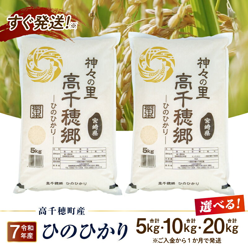 【選べる内容量】《令和7年産》高千穂地区 ひのひかり 米 お米 白米 ごはん 白飯 精米 ひのひかり 国産 宮崎県産 高千穂町産 単一原料米 農作物 農産物 おすそ分け 普段使い 炭水化物 主食 贈答 贈り物 プレゼント おすすめ 宮崎県 高千穂町 送料無料