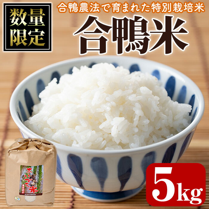 ＜令和7年産 ＞＜数量限定＞ 合鴨 米 (5kg×1袋) 白米 精米 国産 ご飯 アイガモ 合鴨農法 5kg お米 ごはん【MU007】【日之影町村おこし総合産業(株)】