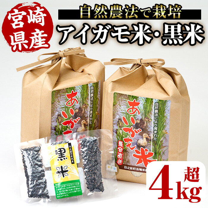 ＜数量限定＞令和7年産アイガモ米(2kg×2袋)と黒米(42g)米 白米 精米 国産 ご飯 【MU015】【日之影町村おこし総合産業(株)】