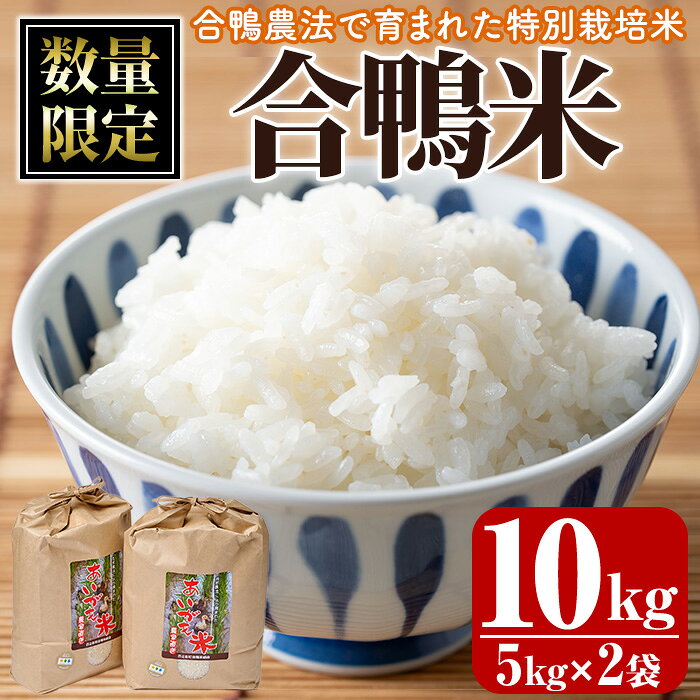 ＜ 令和7年産 ＞＜数量限定＞ 合鴨 米 (5kg×2袋) 白米 精米 国産 ご飯 アイガモ 合鴨農法 10kg お米 ごはん【MU027】【日之影町村おこし総合産業(株)】