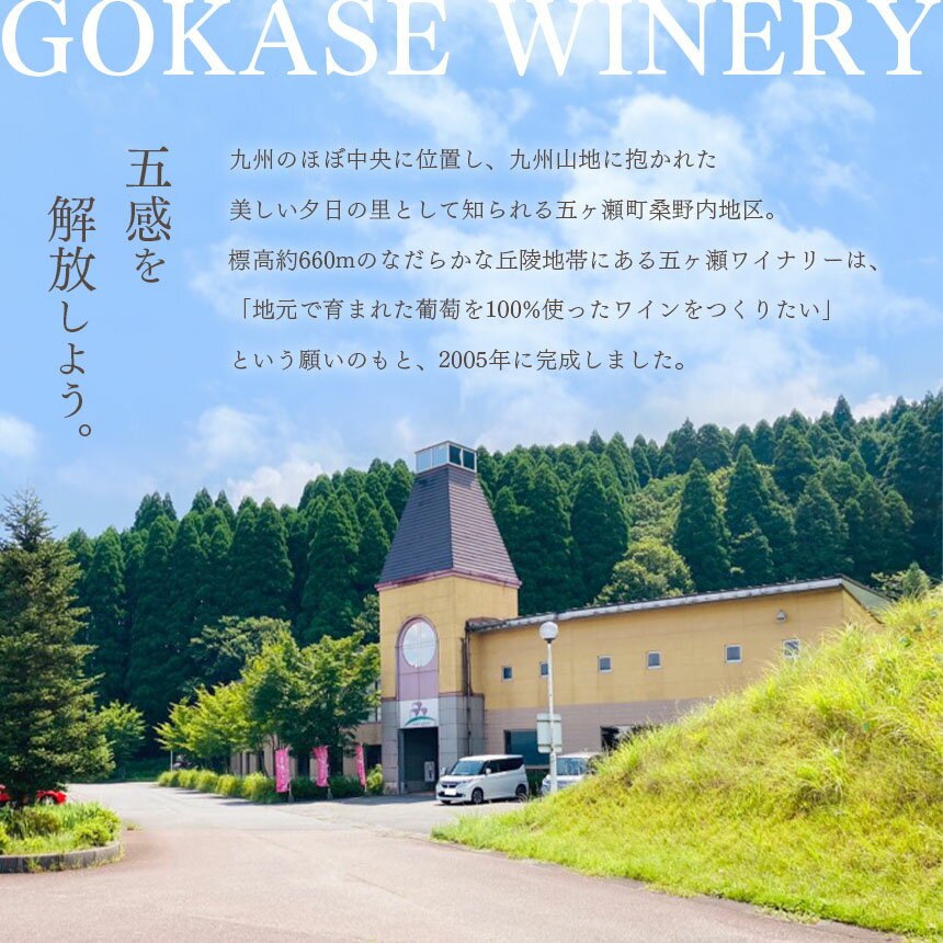【ふるさと納税】五ヶ瀬ワイン 飲み比べセット（白・辛口＆ロゼ・やや甘口） | 酒 さけ お酒 おさけ アルコール ワイン 白ワイン 飲み比べ 宮崎県 五ヶ瀬町 サムネイル3