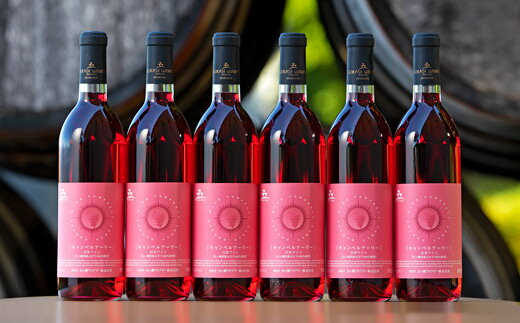 【ふるさと納税】 五ヶ瀬ワイン キャンベルアーリー （ ロゼ ・ やや甘口 ） 720ml 6本 セット | 五ケ瀬ワイナリー　　フルーティー ロゼ ワイン 国産 宮崎 五ヶ瀬町 五ヶ瀬町産ぶどう100％ サムネイル2