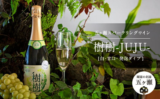【ふるさと納税】 五ヶ瀬スパークリングワイン 樹樹 ‐JUJU‐ （ 白 ・ 甘口 ・ 発泡タイプ ） 750ml | 五ヶ瀬ワイナリー　　スパークリングワイン ワイン 白ワイン ナイアガラ 国産 宮崎 五ヶ瀬町 五ヶ瀬町産ぶどう100％ サムネイル2