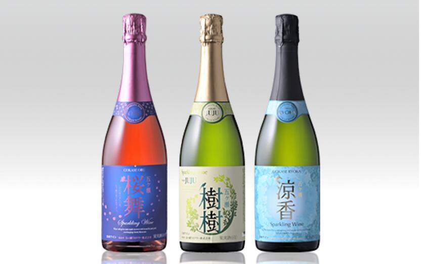 【ふるさと納税】 五ヶ瀬 スパークリングワイン 飲み比べ 3本 セット | 五ケ瀬ワイナリー ワイン お酒 酒 白 ロゼ ナイアガラ シャルドネ キャンベルアーリー 発泡 甘口 やや甘口 辛口 国産 宮崎 五ヶ瀬町 サムネイル2