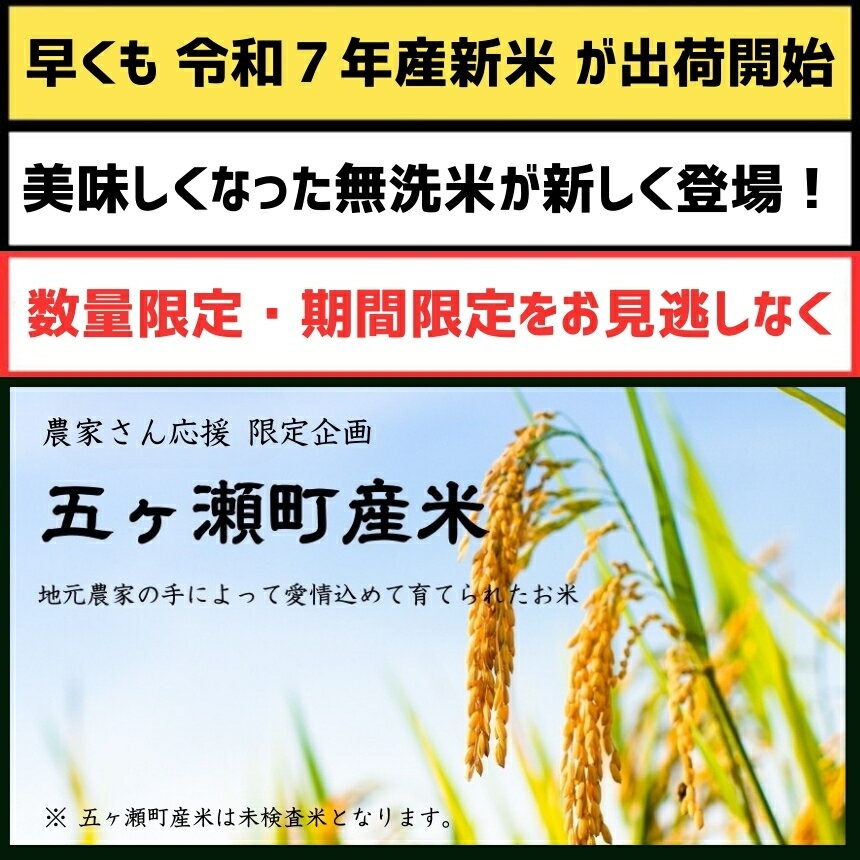 【ふるさと納税】 新米 好評出荷中！ 令和7年産 選べる 無洗米 or 白米 こしひかり ! 5kg ～ 20kg ! 定期便 | お米 米 こめ 白米 九州 高レビュー 小分け ブランド米 コメ 単一米 定期 人気 数量限定 5kg 10kg 20kg 高評価 ランキング 1位 早期米 銘柄 宮崎県 サムネイル2