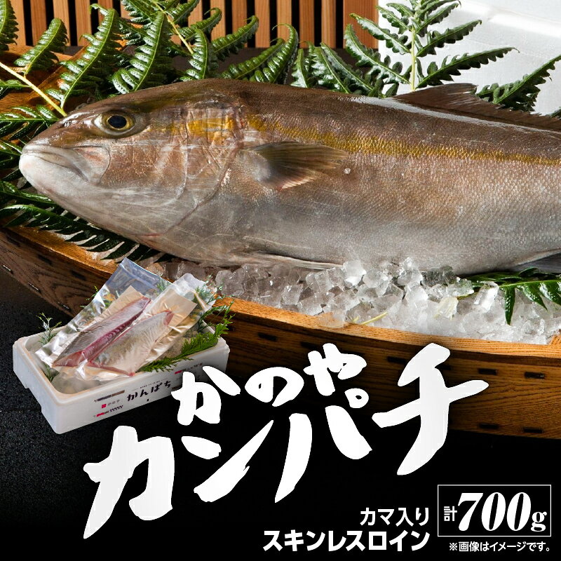 かのやカンパチロイン（カマ入）合計800g(かんぱち スキンレスロイン（骨・皮なし）2柵　合計700g、かんぱち カマ 100g×1個) 鹿児島県産 国産 かんぱち カンパチ【鹿屋市漁業協同組合】