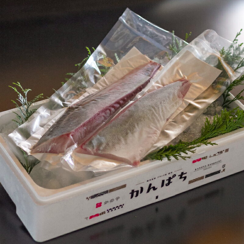 【ふるさと納税】かのやカンパチロイン（カマ入）合計800g(かんぱち スキンレスロイン（骨・皮なし）2柵　合計700g、かんぱち カマ 100g×1個) 鹿児島県産 国産 かんぱち カンパチ【鹿屋市漁業協同組合】 - 画像2