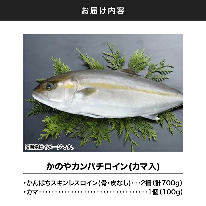 【ふるさと納税】かのやカンパチロイン（カマ入）合計800g(かんぱち スキンレスロイン（骨・皮なし）2柵　合計700g、かんぱち カマ 100g×1個) 鹿児島県産 国産 かんぱち カンパチ【鹿屋市漁業協同組合】 サムネイル2