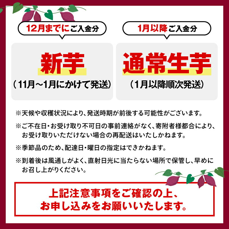 【ふるさと納税】＜サイズと量が選べる＞【先行予約】 かのや紅はるか 生芋 新芋 5kg or 10kg S ～ 2L 熟成 紅はるか さつまいも さつま芋 芋 焼芋 焼き芋 しっとり 貯蔵 鹿児島産 国産 南橋商事 ふるさと納税 鹿児島 鹿屋市 おすすめ ランキング プレゼント ギフト サムネイル2