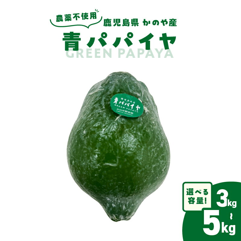 ＜選べる＞ かのや産 青パパイヤ 約3kg or 約5kg 農薬不使用 パパイヤ スーパーフード 栄養 パパイン 酵素 健康 料理 スムージー 漬物 万能 美味しい フルーツ 果物 野菜 オキス ふるさと納税 鹿児島 鹿屋市 おすすめ ランキング プレゼント ギフト