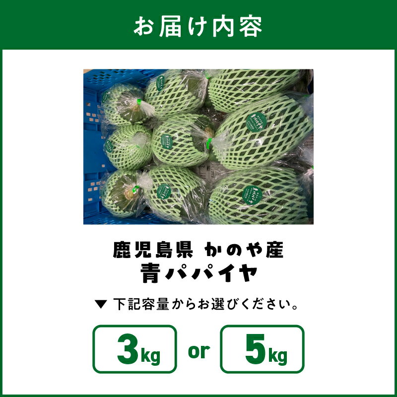 【ふるさと納税】＜選べる＞ かのや産 青パパイヤ 約3kg or 約5kg 農薬不使用 パパイヤ スーパーフード 栄養 パパイン 酵素 健康 料理 スムージー 漬物 万能 美味しい フルーツ 果物 野菜 オキス ふるさと納税 鹿児島 鹿屋市 おすすめ ランキング プレゼント ギフト サムネイル2