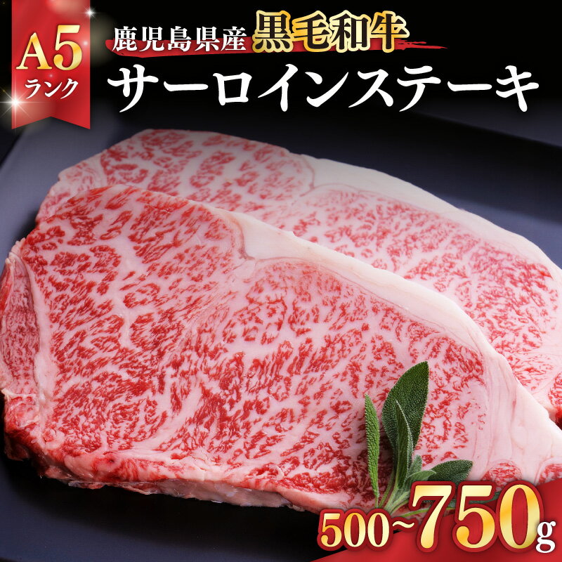 ＜選べる＞ 鹿児島県産 黒毛和牛 A5ランク サーロイン ステーキ 500g or 750g 和牛 牛肉 肉 国産 冷凍 贈答 ごちそう 記念日 国産 Dress Up Agri ことぶき精肉店 ふるさと納税 鹿児島 鹿屋市 おすすめ ランキング プレゼント ギフト