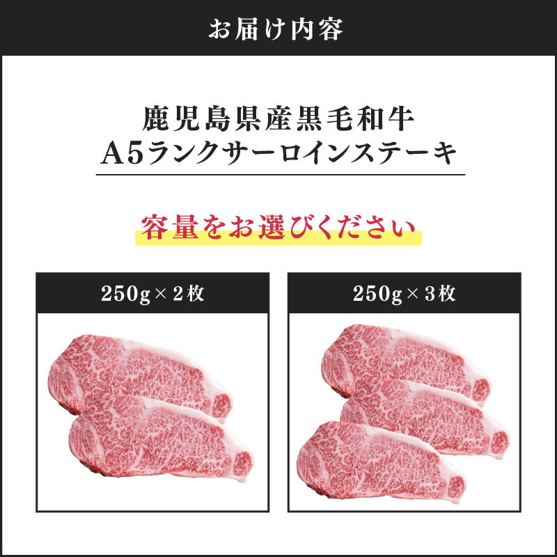 【ふるさと納税】＜選べる＞ 鹿児島県産 黒毛和牛 A5ランク サーロイン ステーキ 500g or 750g 和牛 牛肉 肉 国産 冷凍 贈答 ごちそう 記念日 国産 Dress Up Agri ことぶき精肉店 ふるさと納税 鹿児島 鹿屋市 おすすめ ランキング プレゼント ギフト サムネイル3