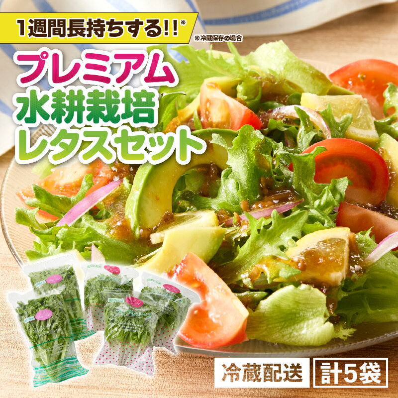 洗わずに食べられる プレミアム 水耕栽培 レタス 5袋 ヘルシーリーフ リーフレタス フリフリリーフ フリルアイス 野菜 サラダ 農薬不使用 無農薬 旭信興産アグリーン事業部 鹿児島 鹿屋市 おすすめ ランキング プレゼント ギフト