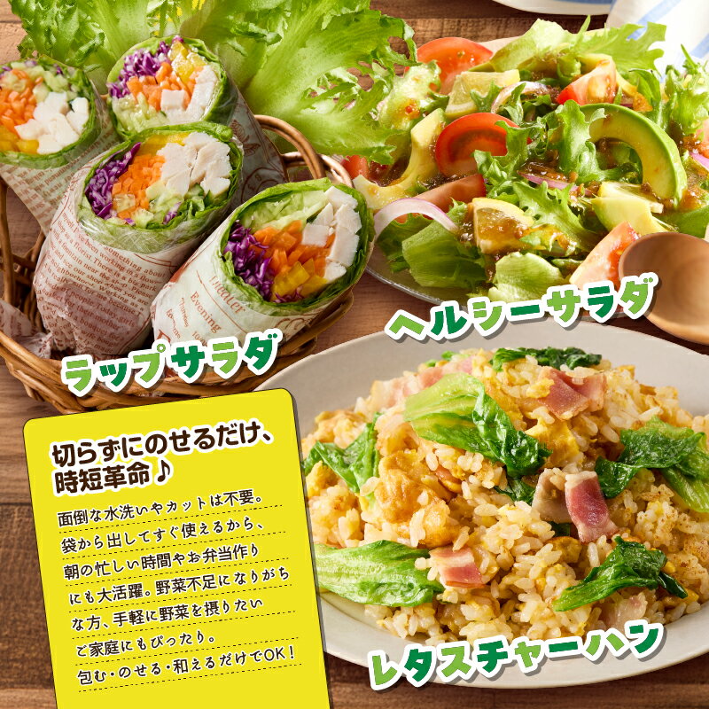 【ふるさと納税】【定期便 全12回】 農薬不使用 洗わずに食べられる プレミアム 水耕栽培 レタス 5袋を1年分 計60袋 ヘルシーリーフ リーフレタス フリフリリーフ フリル 野菜 サラダ 無農薬 旭信興産アグリーン事業部 鹿児島 鹿屋市 おすすめ ランキング プレゼント ギフト - 画像3