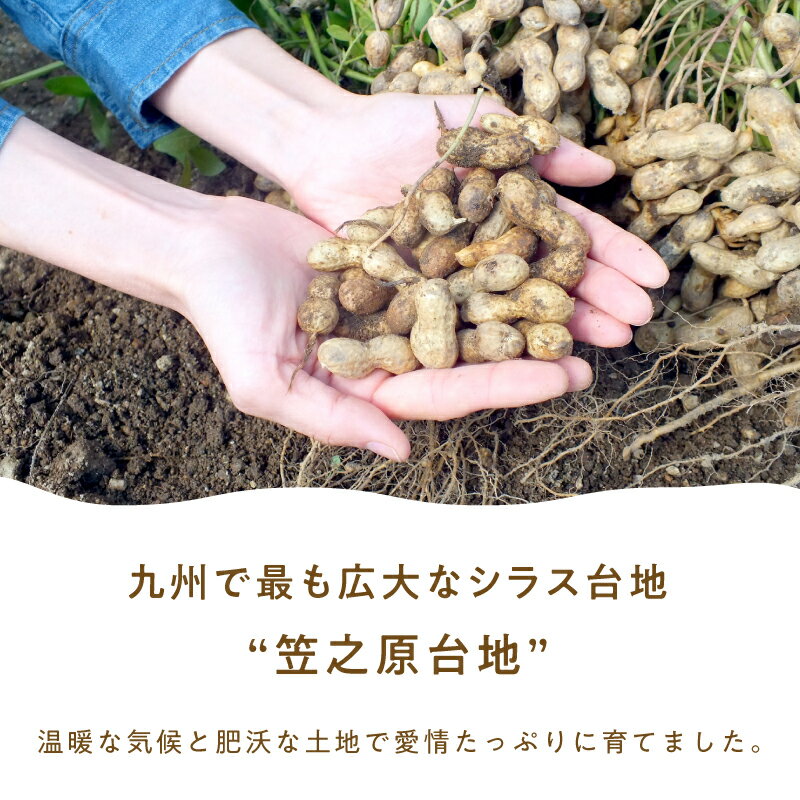 【ふるさと納税】むきみ煎り落花生（150g×2袋）と、から付き煎り落花生（150g×3袋）のセット　計750g 落花生 煎り むき身 から付き ピーナッツ おつまみ 国産【有限会社みかげ】 - 画像2