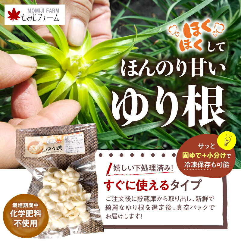 【ふるさと納税】＜選べる容量＞ ほくほくしてほんのり甘い ゆり根 200g ～ 700g ゆり根 野菜 やさい 根菜 茶碗蒸し 炊き込みご飯 サラダ 天ぷら 栄養豊富 冷凍保存可能 ほくほく あまい 食用 もみじファーム 鹿児島 鹿屋市 おすすめ ランキング プレゼント ギフト - 画像2