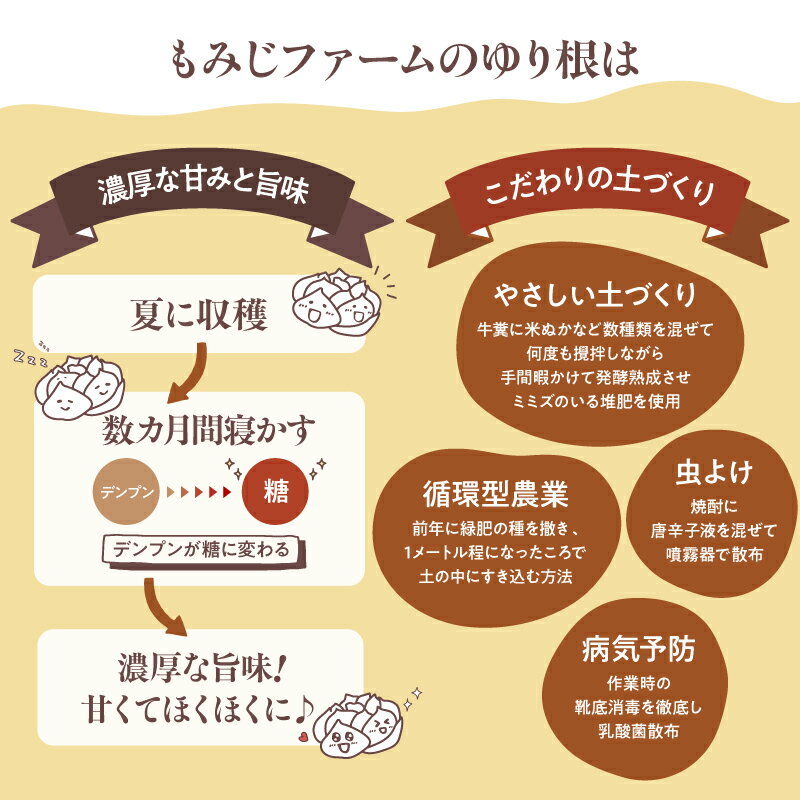 【ふるさと納税】＜選べる容量＞ ほくほくしてほんのり甘い ゆり根 200g ～ 700g ゆり根 野菜 やさい 根菜 茶碗蒸し 炊き込みご飯 サラダ 天ぷら 栄養豊富 冷凍保存可能 ほくほく あまい 食用 もみじファーム 鹿児島 鹿屋市 おすすめ ランキング プレゼント ギフト - 画像3