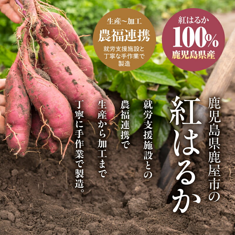 【ふるさと納税】＜選べる＞かのや紅はるか ペースト さつま芋 500g 1kg さつまいも サツマイモ 芋 お菓子作り 野菜 スイーツ 甘い 業務用 離乳食 介護食 ひまわり農苑 鹿児島 鹿屋市 おすすめ ランキング プレゼント ギフト - 画像2
