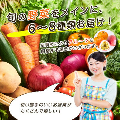 【ふるさと納税】鹿児島県枕崎産旬の野菜の詰め合わせ(6～8種類) 野菜セット 国産 九州 厳選 A3-291【配送不可地域：離島】【1166700】 - 画像3