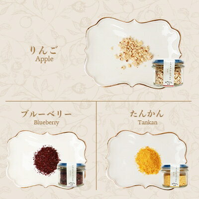 【ふるさと納税】ドライフルーツソルト 6種セット B3-42【配送不可地域：離島】【1167928】 サムネイル3