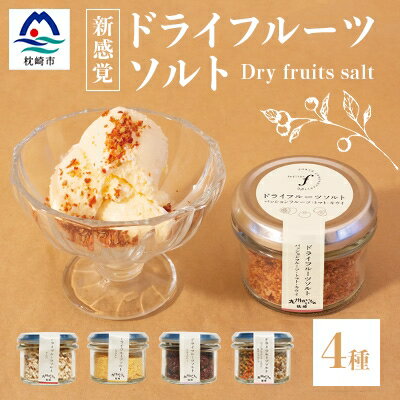 ドライフルーツソルト4種 A8-51【配送不可地域：離島】【1167929】