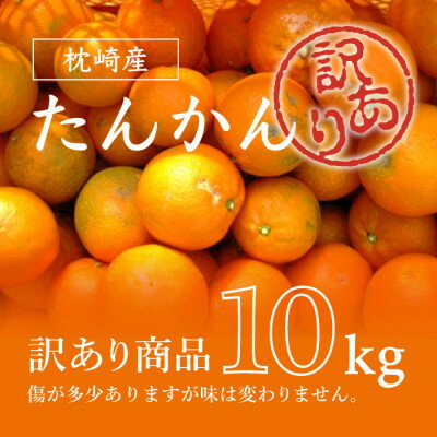 【訳あり】南国特産もぎたてフルーツ たんかん10kg【先行予約】2月下旬より順次発送 B2-14_ 果物 くだもの 柑橘 かんきつ みかん 蜜柑 規格外 人気 送料無料 【配送不可地域：離島】【1466329】