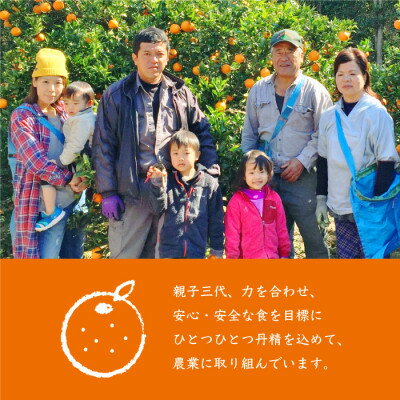 【ふるさと納税】【訳あり】南国特産もぎたてフルーツ たんかん10kg【先行予約】2月下旬より順次発送 B2-14_ 果物 くだもの 柑橘 かんきつ みかん 蜜柑 規格外 人気 送料無料 【配送不可地域：離島】【1466329】 サムネイル3