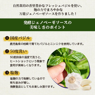 【ふるさと納税】発酵ジェノベーゼソース(150g×3個)】【鹿児島県枕崎産 バジル使用】A5-13【配送不可地域：離島】【1476144】 サムネイル2
